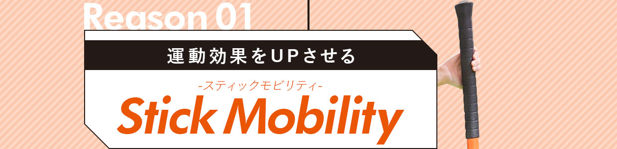 運動効果をUPさせる、スティックモビリティ