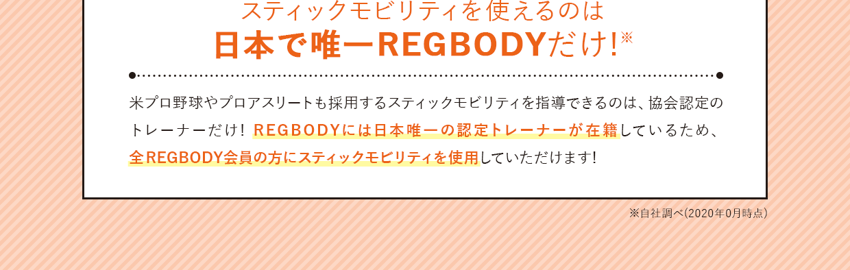 スティックモビリティを使えるのは日本で唯一REGBODYだけ