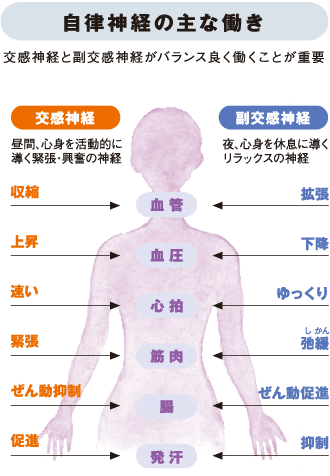 バストアップならregbody 新宿駅徒歩5分のパーソナルジム Regbody レグボディ